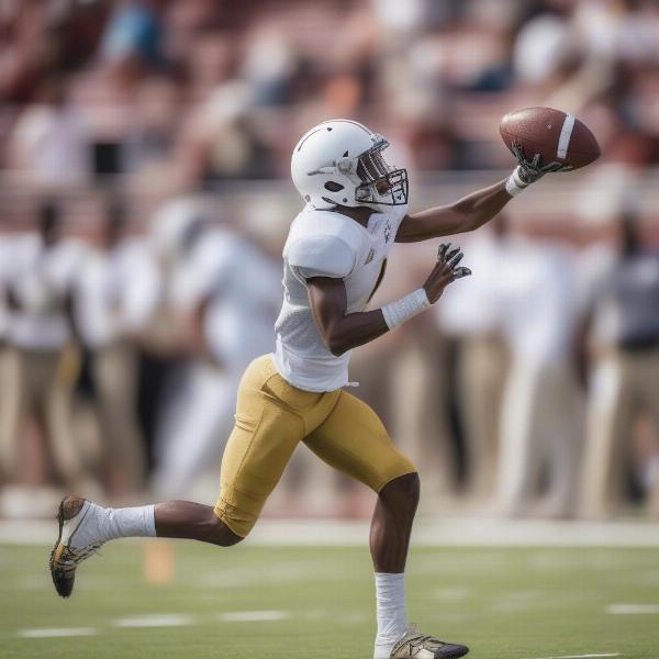 alabama state player making a difficult catch