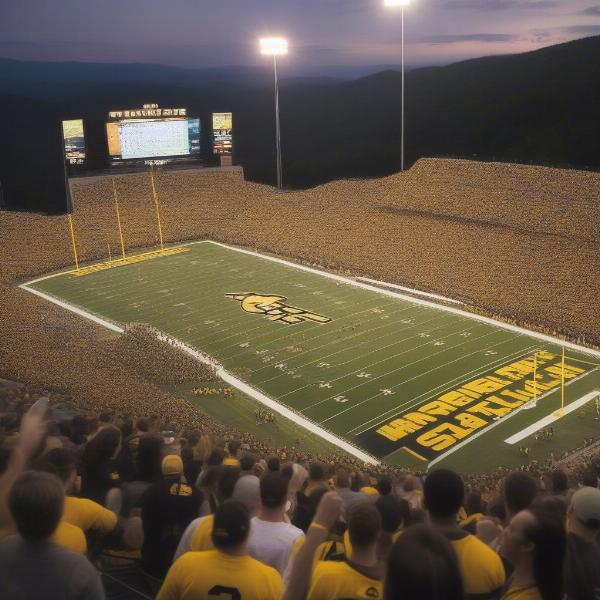 appalachian-state-football-crowd