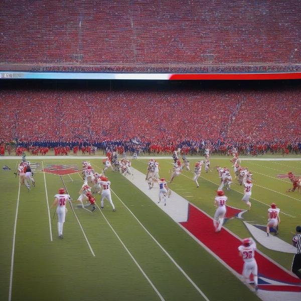 Arizona Wildcats College Football Action