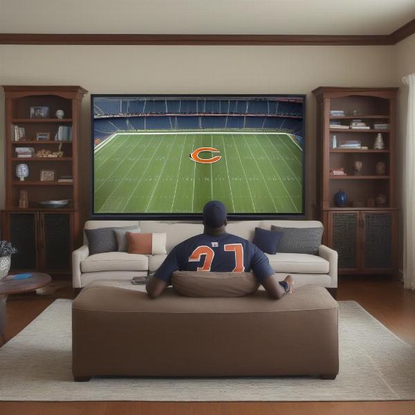 watching bears game on tv