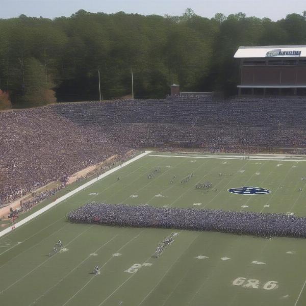 Fans enjoying the Berry College football game