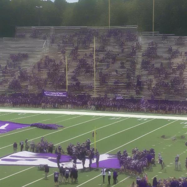 boiling springs football community cheering