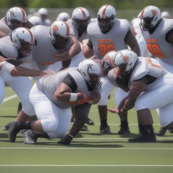 bowling-green-falcons-defensive-tactics
