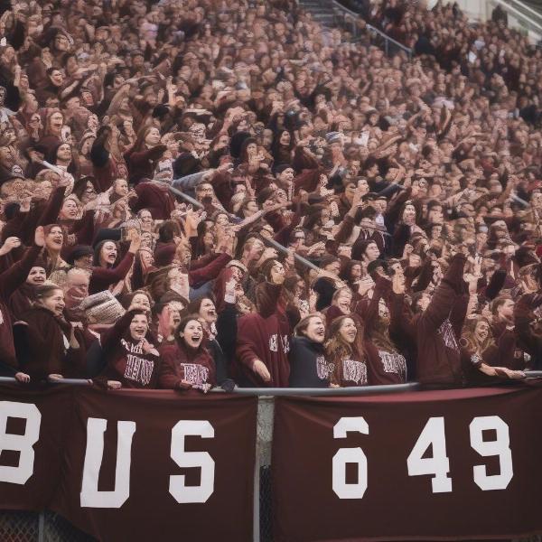 brown-harvard-football-students-fan-atmosphere