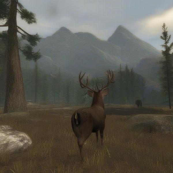 cabelas big game hunter pro hunts xbox 360 game in action