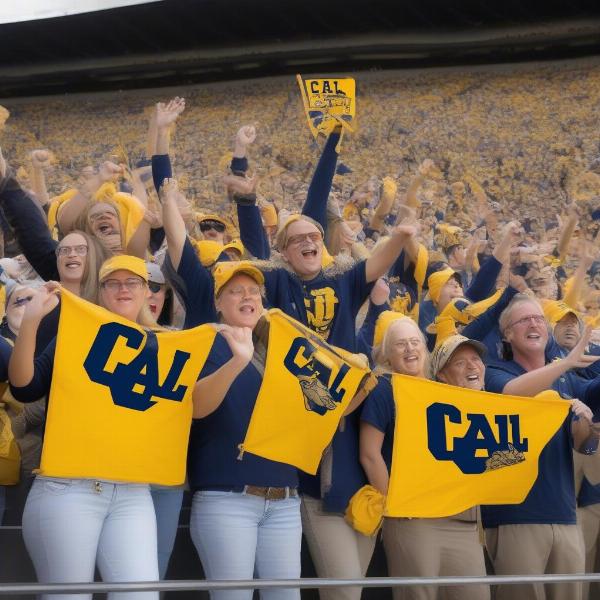 cal bears football bowl game excitement