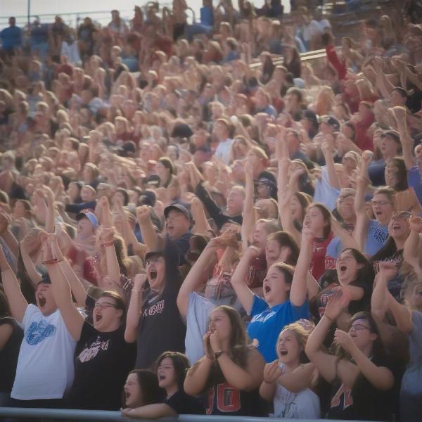 calhoun-sandcrabs-fans-in-stadium