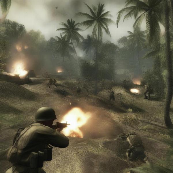 Call of Duty World at War Pacific Campaign