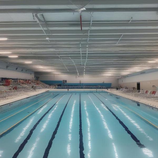 diving-boards-area-at-canada-games-pool