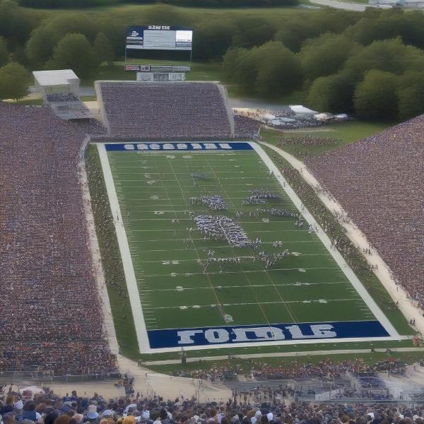 Crowd shot of a Cary Grove football game