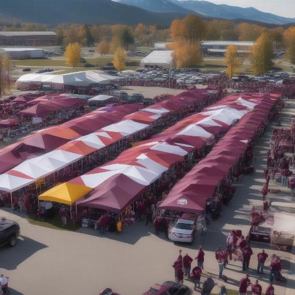 Cat Griz Football Fans Tailgating