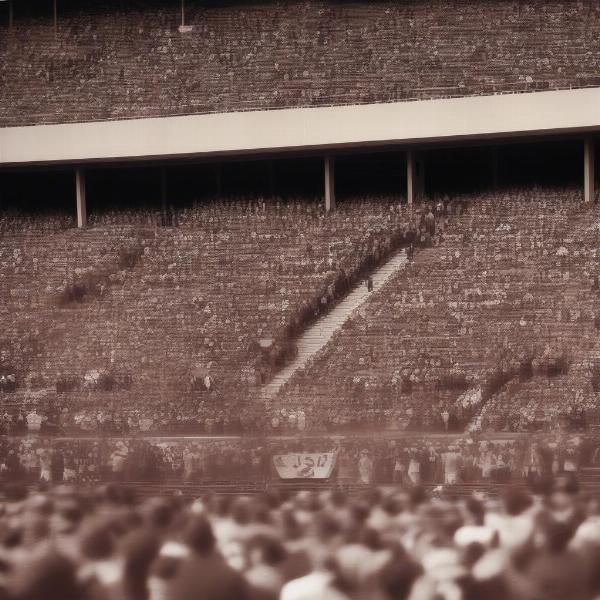 Cat Griz Football Rivalry History