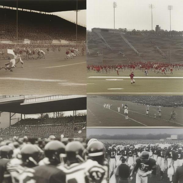 cau panthers football history and tradition