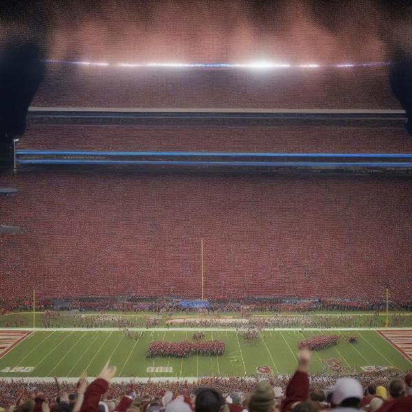 College Football Bowl Game Experience