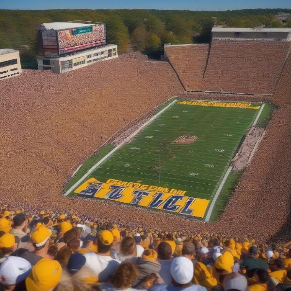 College Football Crowd