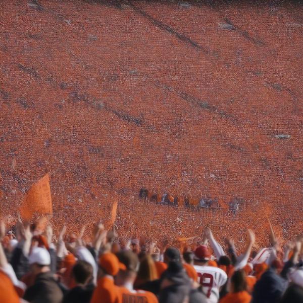 Excited college football fans