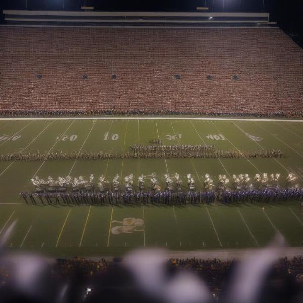 College Marching Band Performance