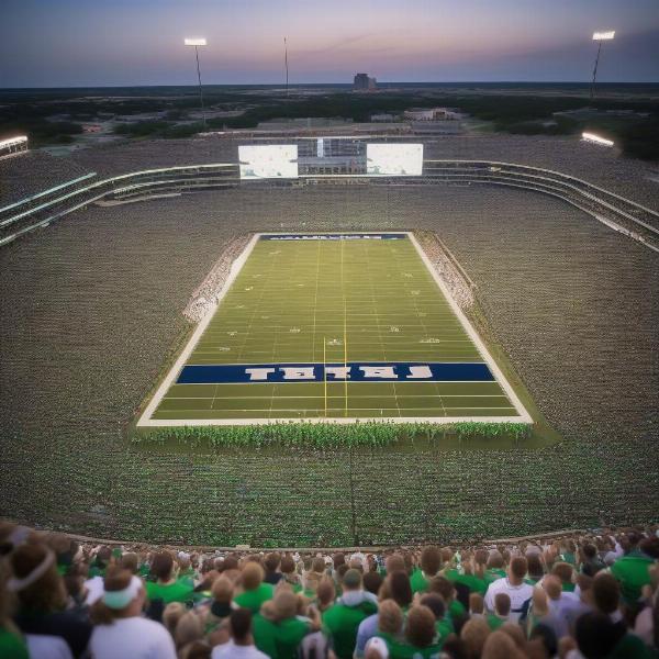 North Texas college football stadium during game