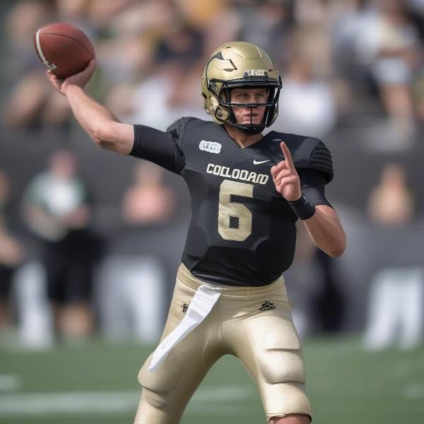 Colorado State Football Game Quarterback Pass