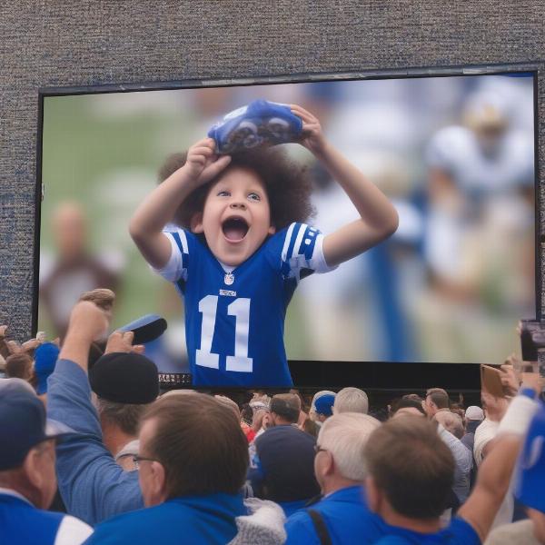 fan-excited-watching-colts