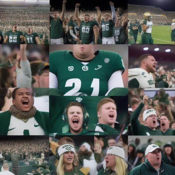 csu football game score fan reaction