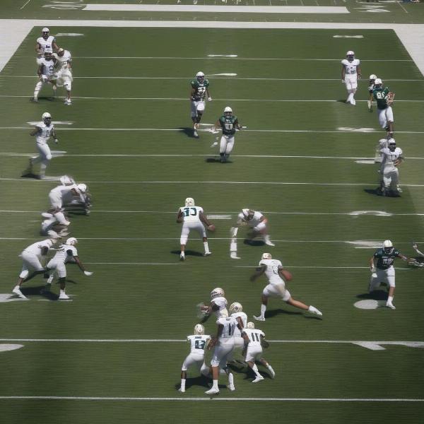 csu-football-offensive-strategy