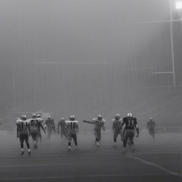 denver-football-game-rainy-day