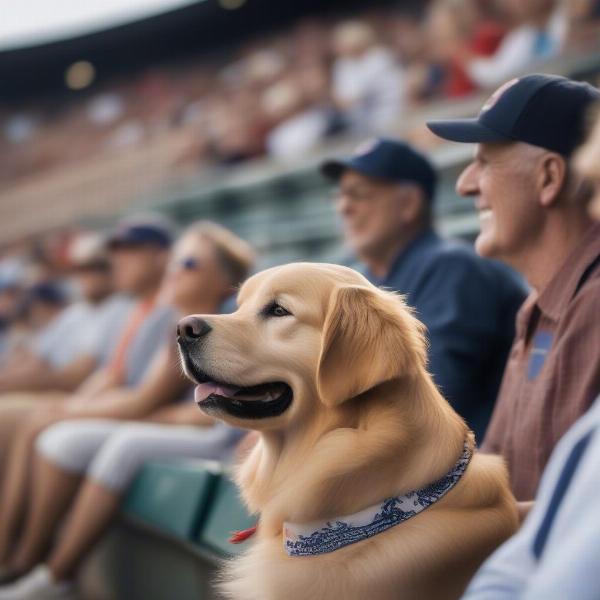 happy dog enjoying baseball game