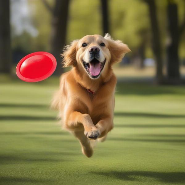 Happy dog playing fetch in a park