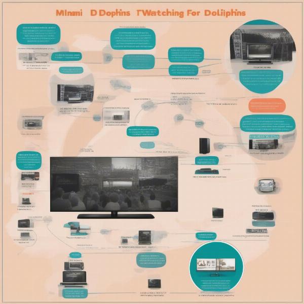 Dolphins game TV options