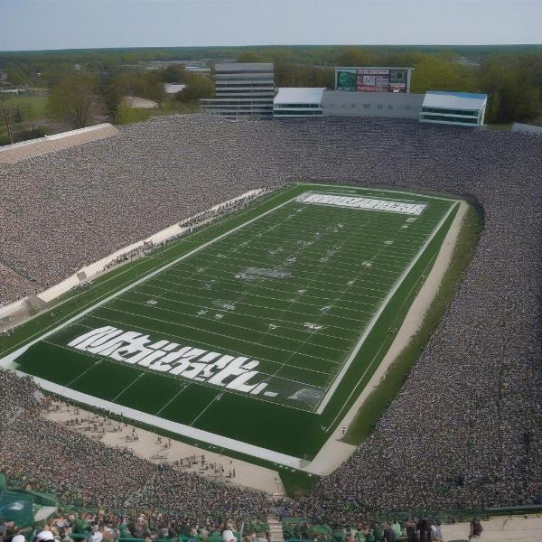 crowd cheering at eastern michigan football game