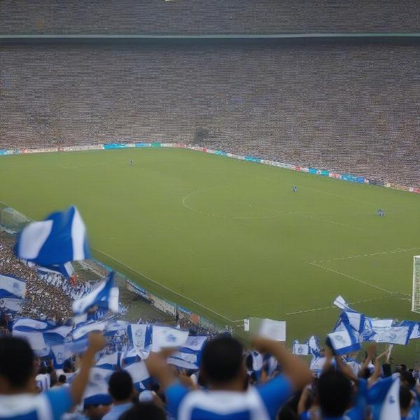 el salvador national football team fans cheering