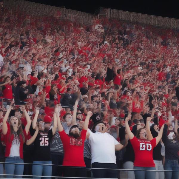 euless trinity football fans in stadium