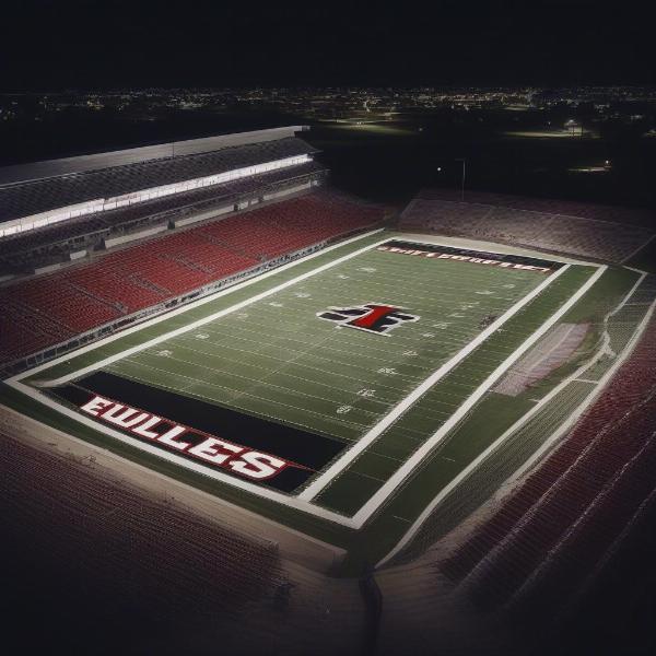 euless trinity football game stadium night