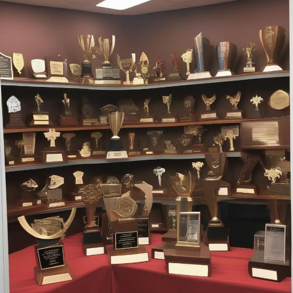euless trinity football team trophies