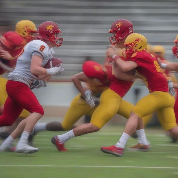 ferris state bulldogs team strategy action