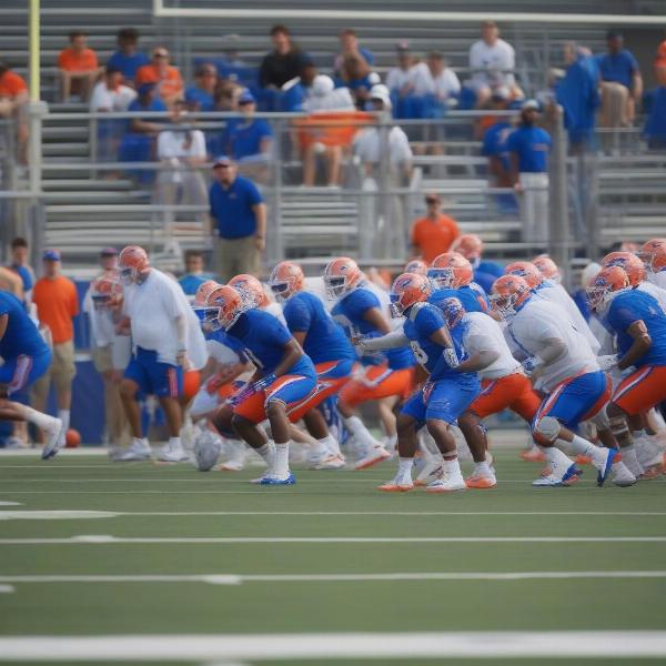 florida gators spring game practice session