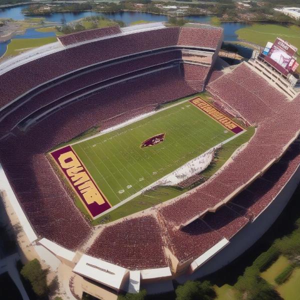 florida state football game experience