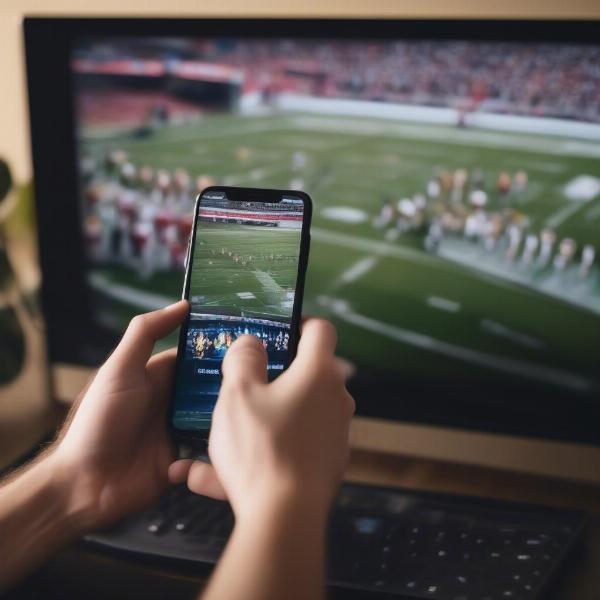 football-fan-watch-game-phone