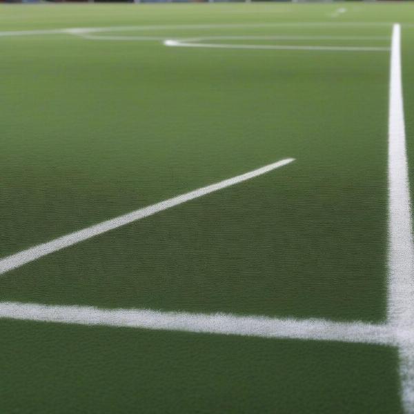 football pitch grass view