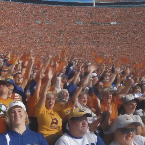 football fans show team spirit