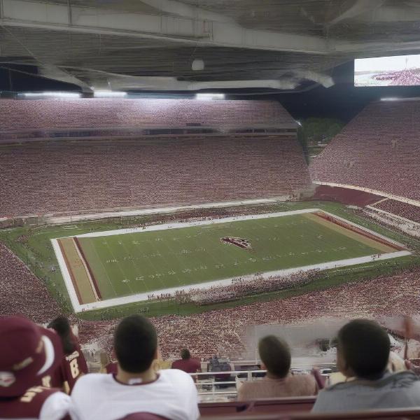 fsu football game broadcast on tv
