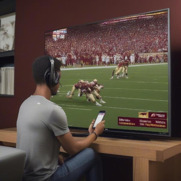 checking fsu football tv schedule