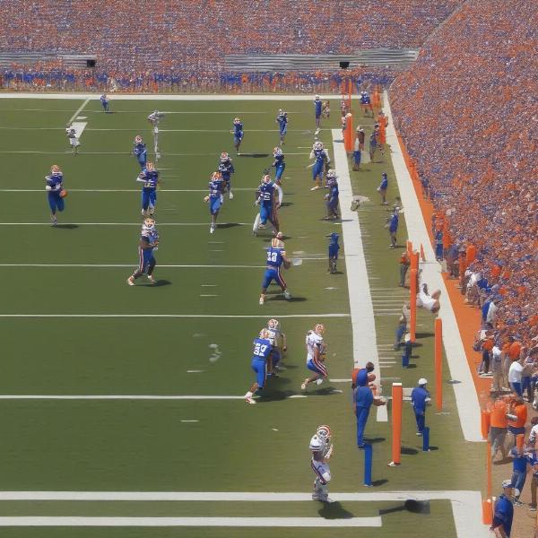 Florida Gators offense executing a play