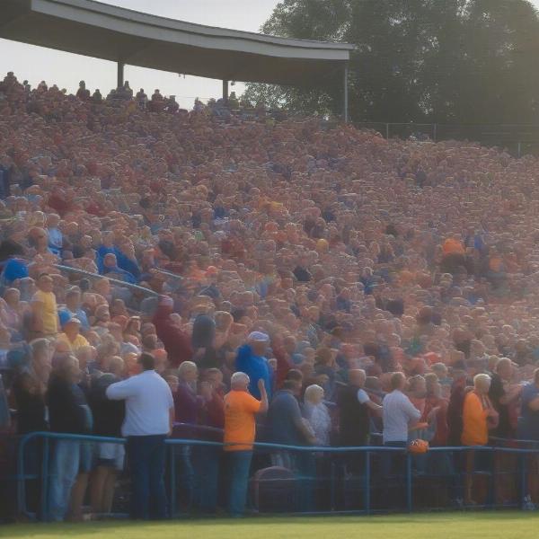 excited-ghoe-football-game-crowd