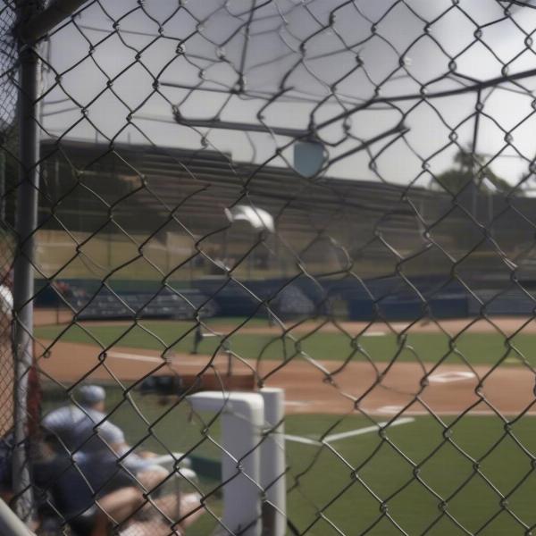 Gopro recording baseball game position