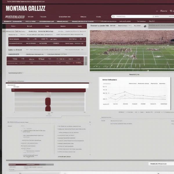 Montana Grizzlies Football Game Analysis