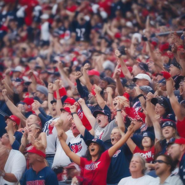 texans-fans-support-score