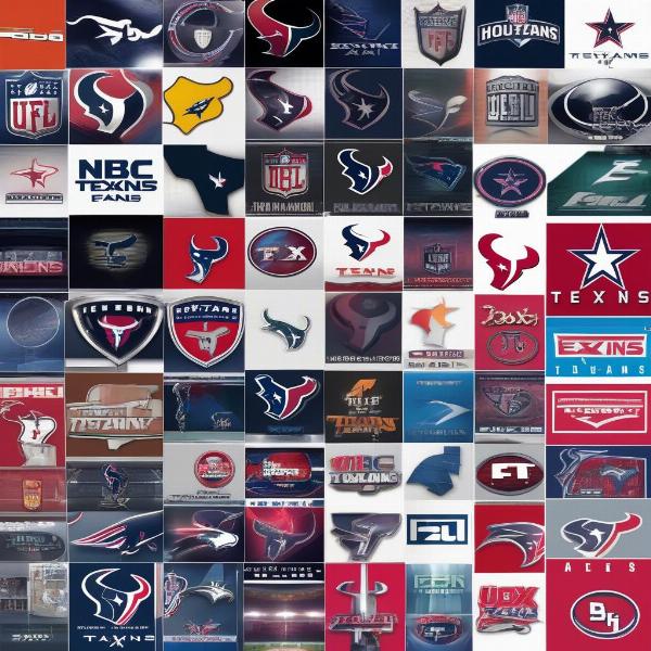 Houston Texans Game TV Channels