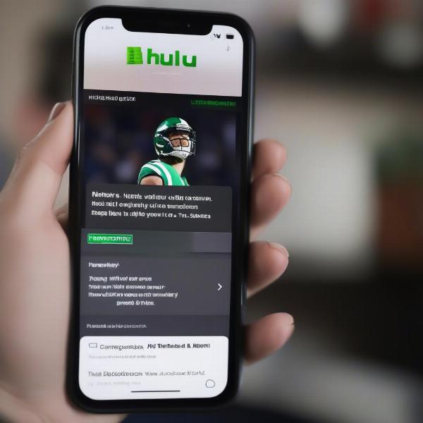 Hulu blackout message example